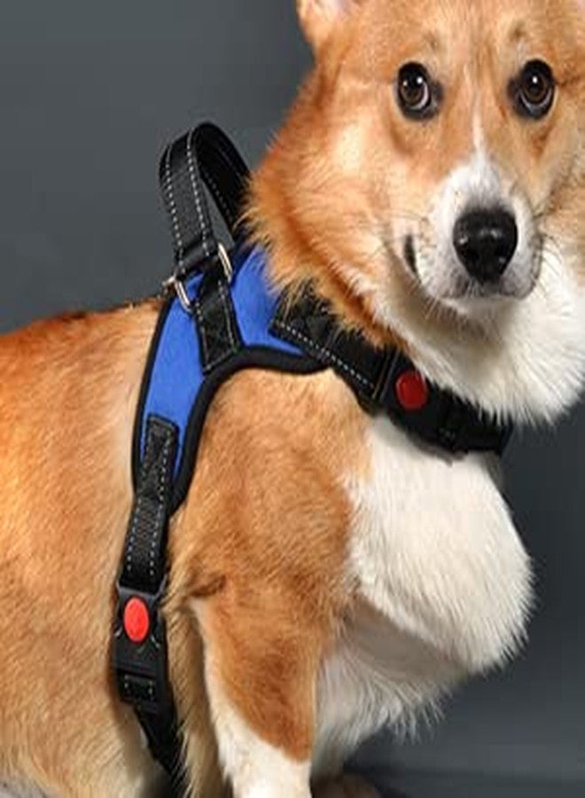 Smart Pups Dog Reflective Vest Harness with Adjustable Strap - No More Pulling Vest for Outdoor Walking Dogs and Puppies (Navy Blue) - Medium - Image 4